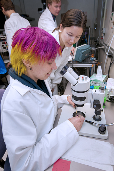 A Ph.D. student with bright prink and yellow hair and a white lab coat looks through a microscope in a lab overseen by the Department of Neuroscience.