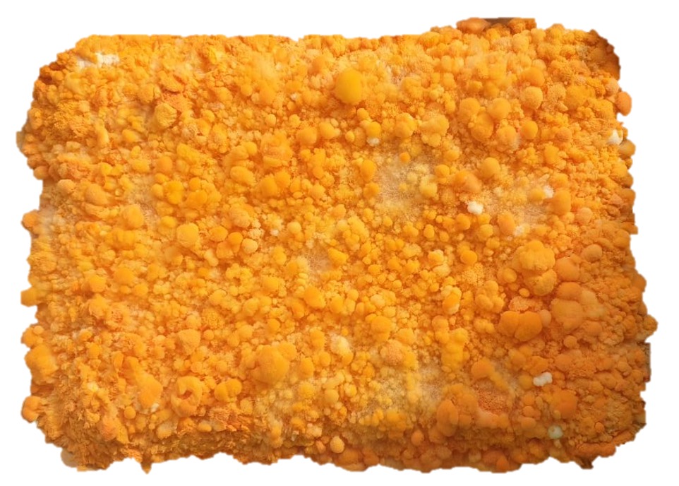 a flat, rectangular slab covered with bright orange mold