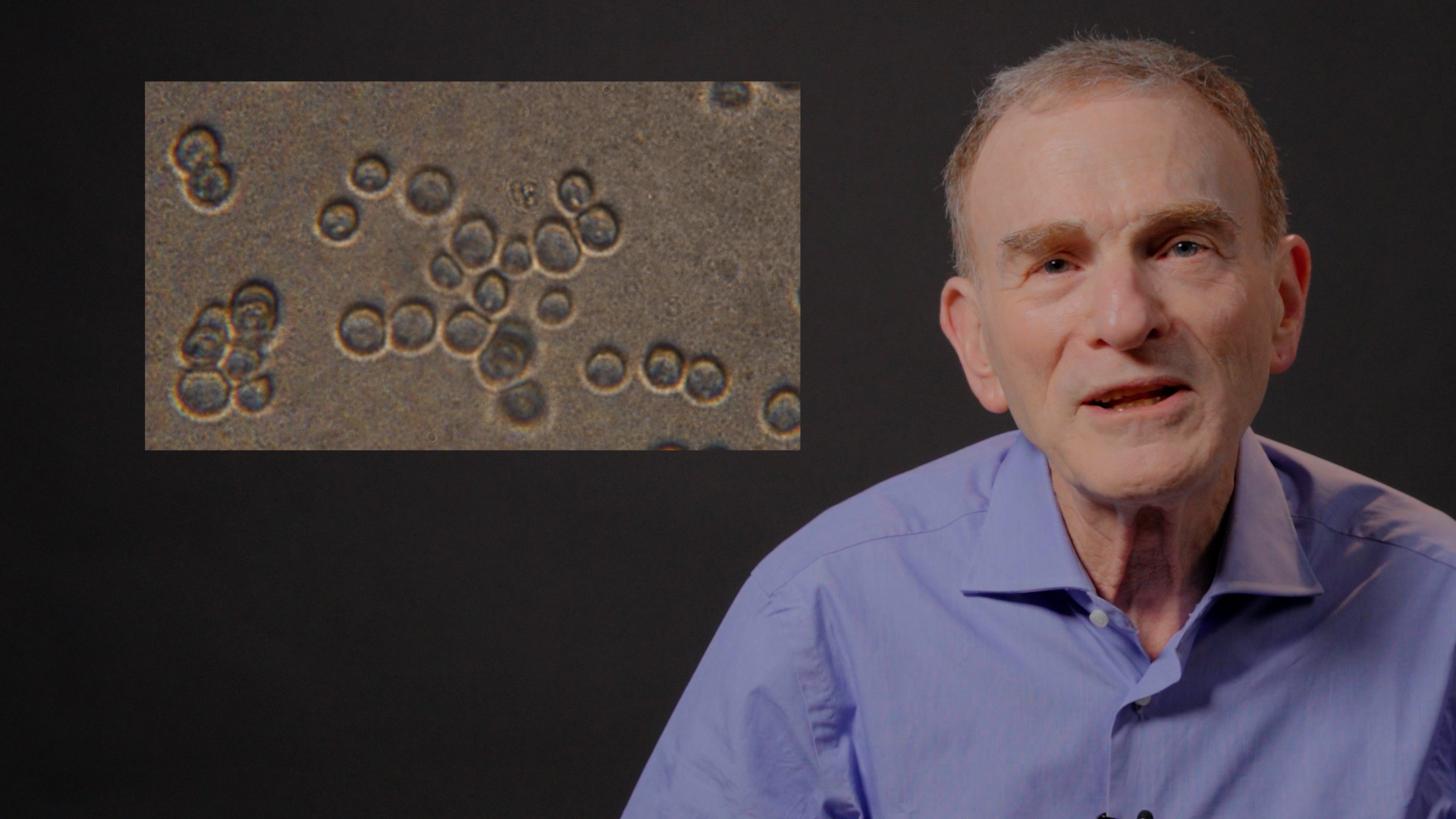 UC Berkeley professor Randy Schekman looks into the camera with a still image of microscopic yeast cells behind him