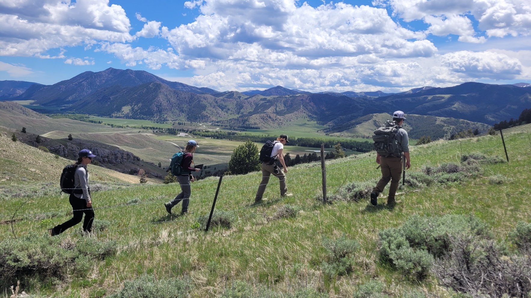 Four researchers walk across a grassy plateau with a view of moutains in the background.