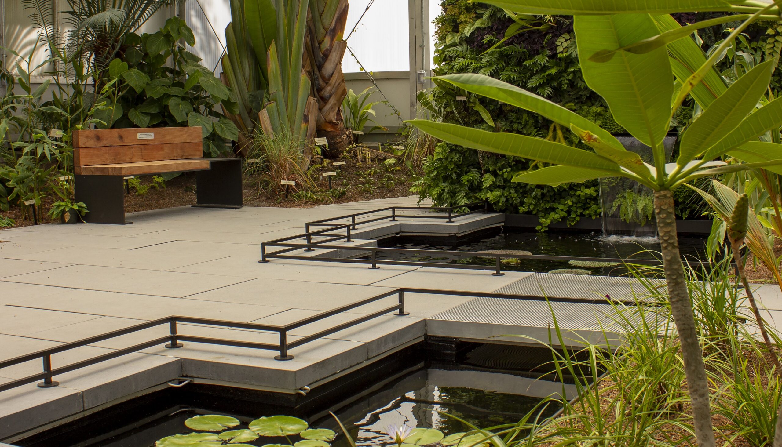 A photo of a bench, walkway and tropical plants inside Tropical House