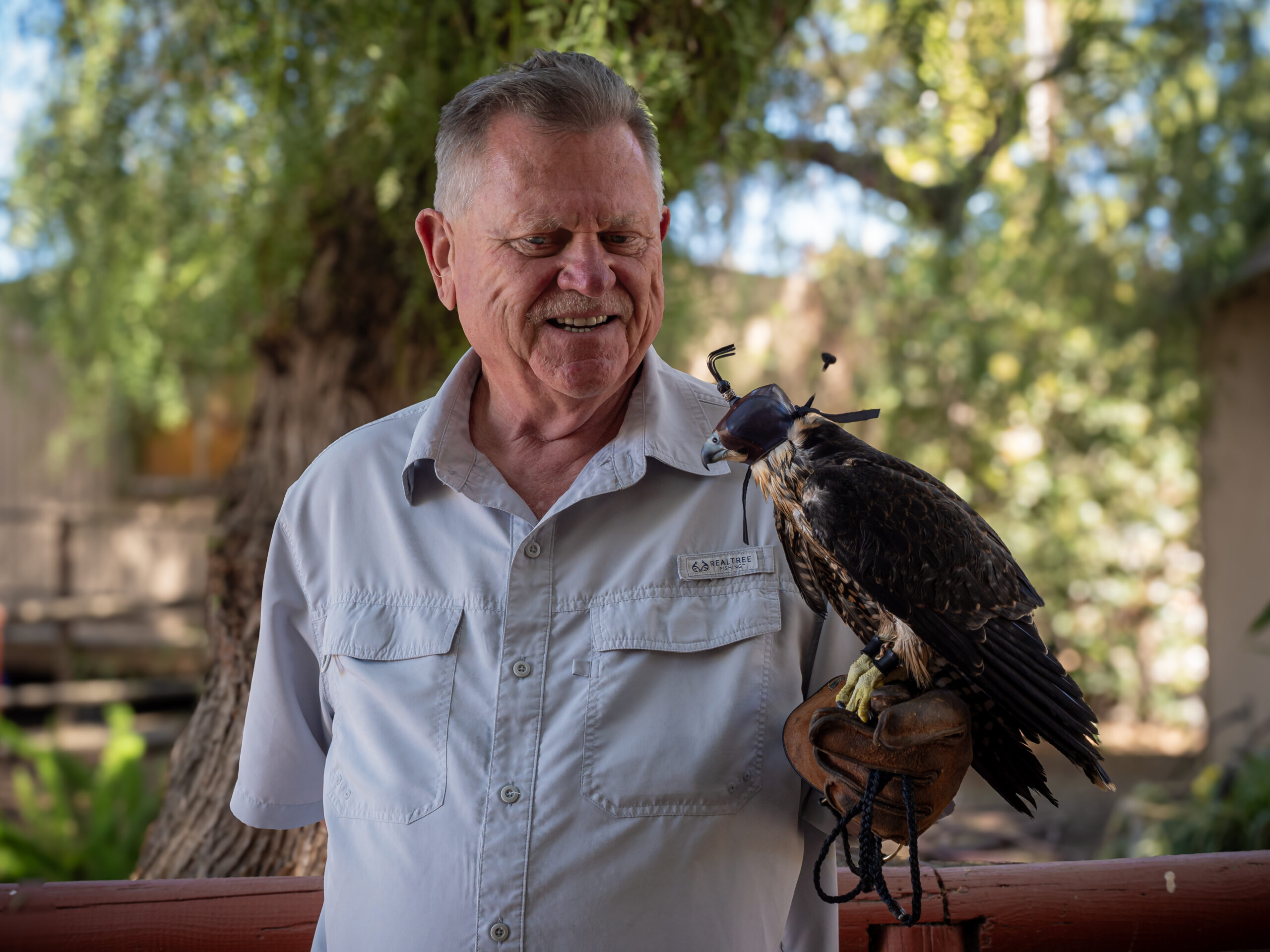 Bill Ferrier, a falconer, poses with Berkeley falcon Nox, who is perched on Ferrier's leather glove and wearing a hood, which is a calming tool used by falconers.