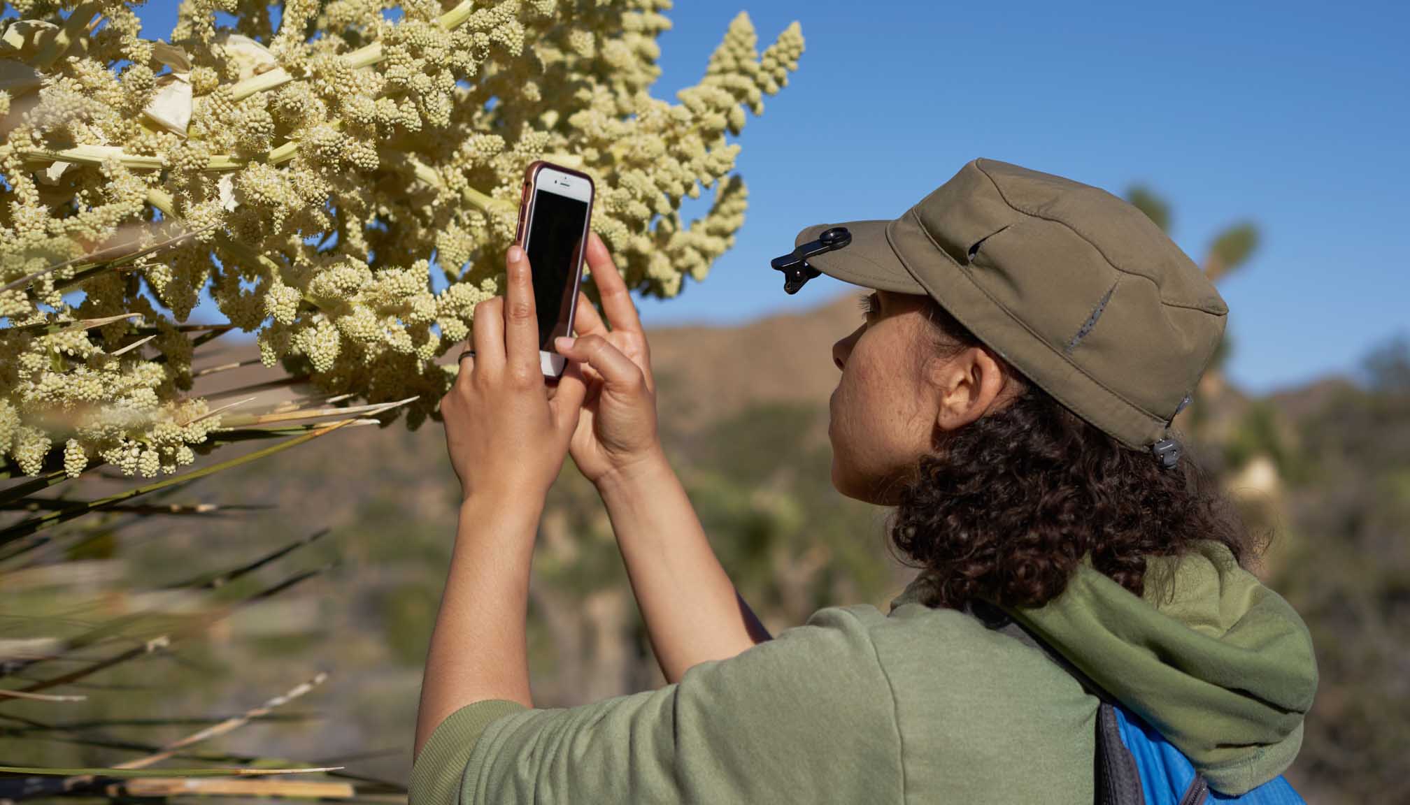 a woman in green cap uses cellphone to photograph a flowering tree