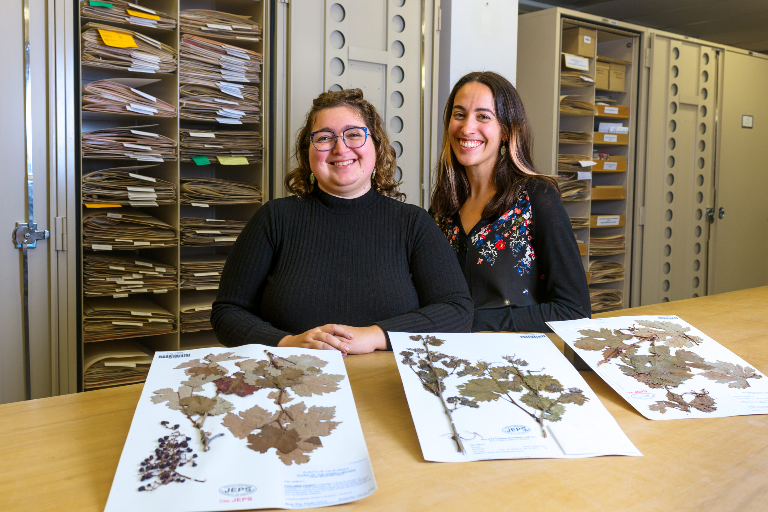 Three dried grapevine specimens, mounted on paper, are spread across a table. Behind the table stand two individuals who are smiling at the camera. Storage cabinets that are filled with file folders can be seen in the background.