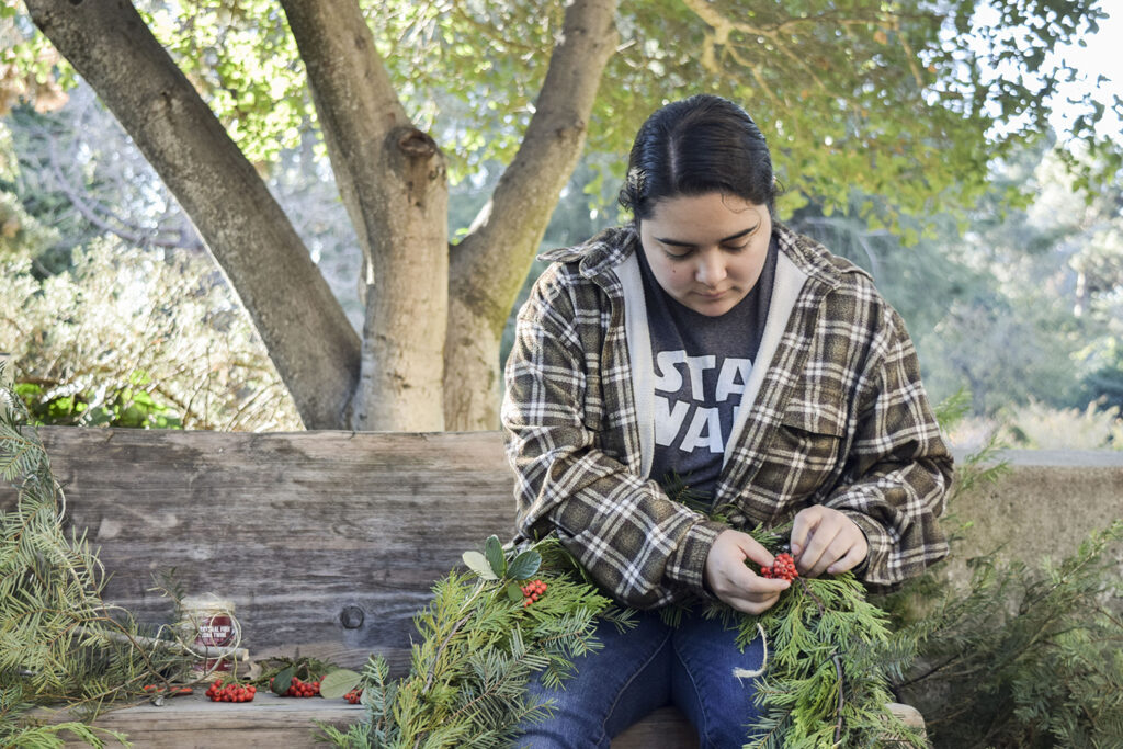 A student in a Star Wars T-shirt makes a wreath from cedar boughs and berries that she found in the woods. She is working on it before the start of the annaul Cal Forestry Club's Christmas tree sale on campus.