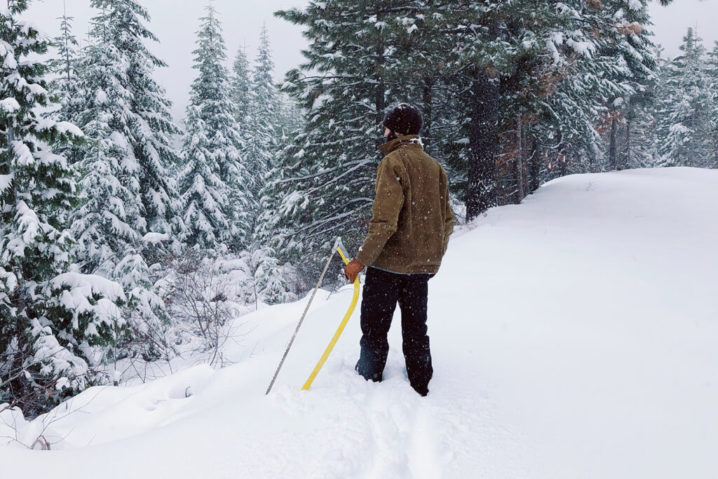 A student walks through a snowy forest holding a hand-held saw that he'll use to cut down Christmas trees for the campus's annual Forestry Club tree sale.