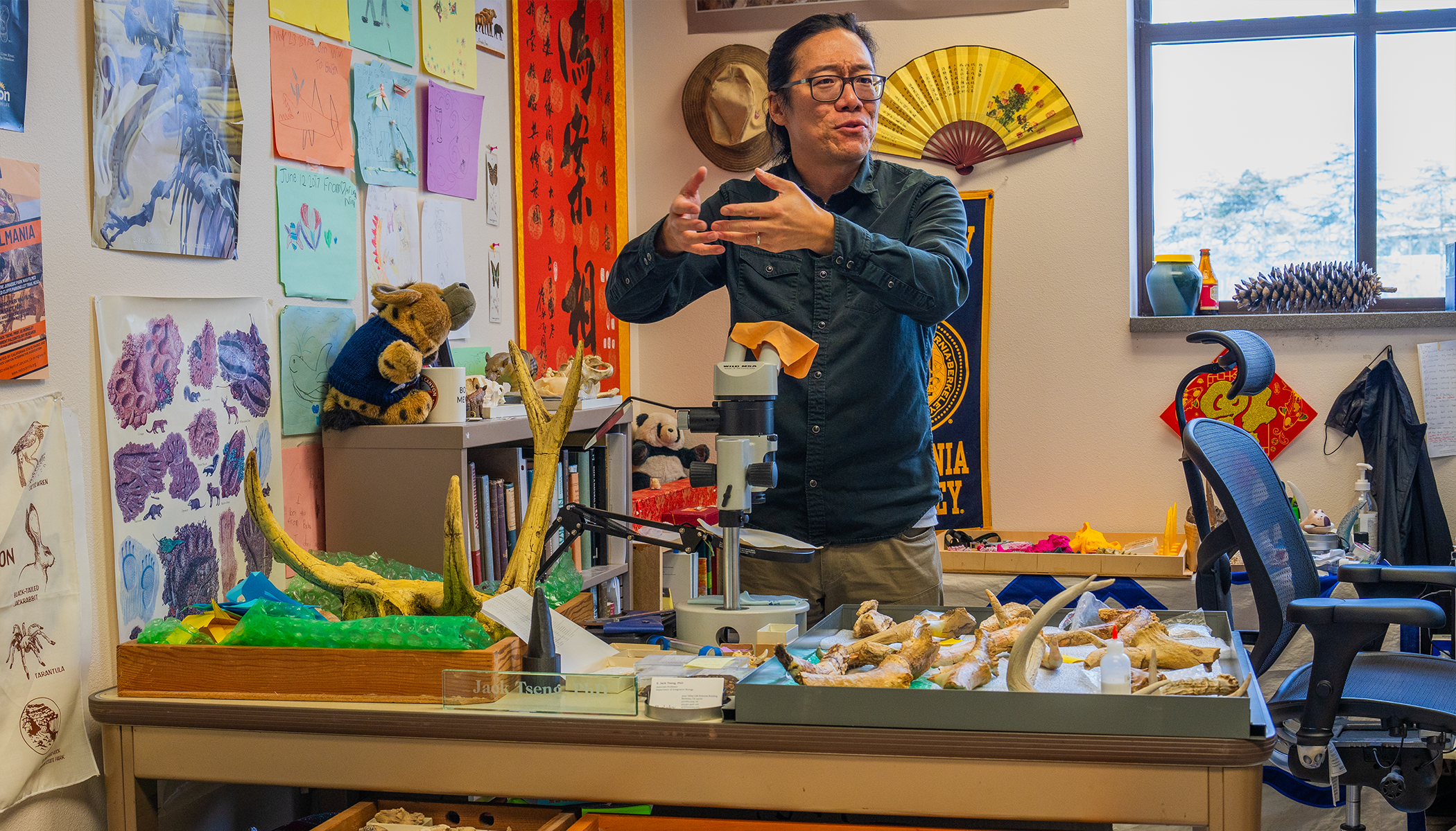 Jack Tseng gestures in his office, surrounded by bones and antlers and kids' drawings on the wall. It's cozy and busy.