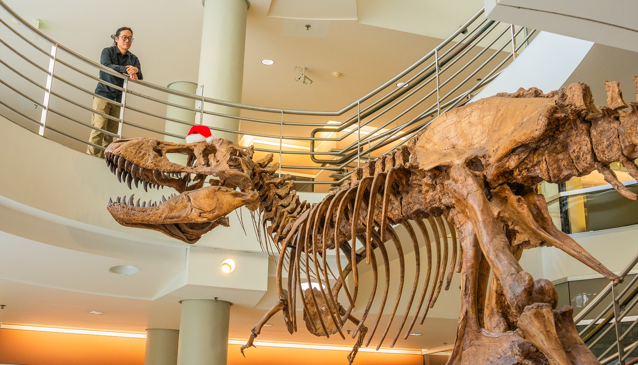 Jack Tseng stands on the second floor of the Valley Life Sciences Building looking down on a replica of a T. rex