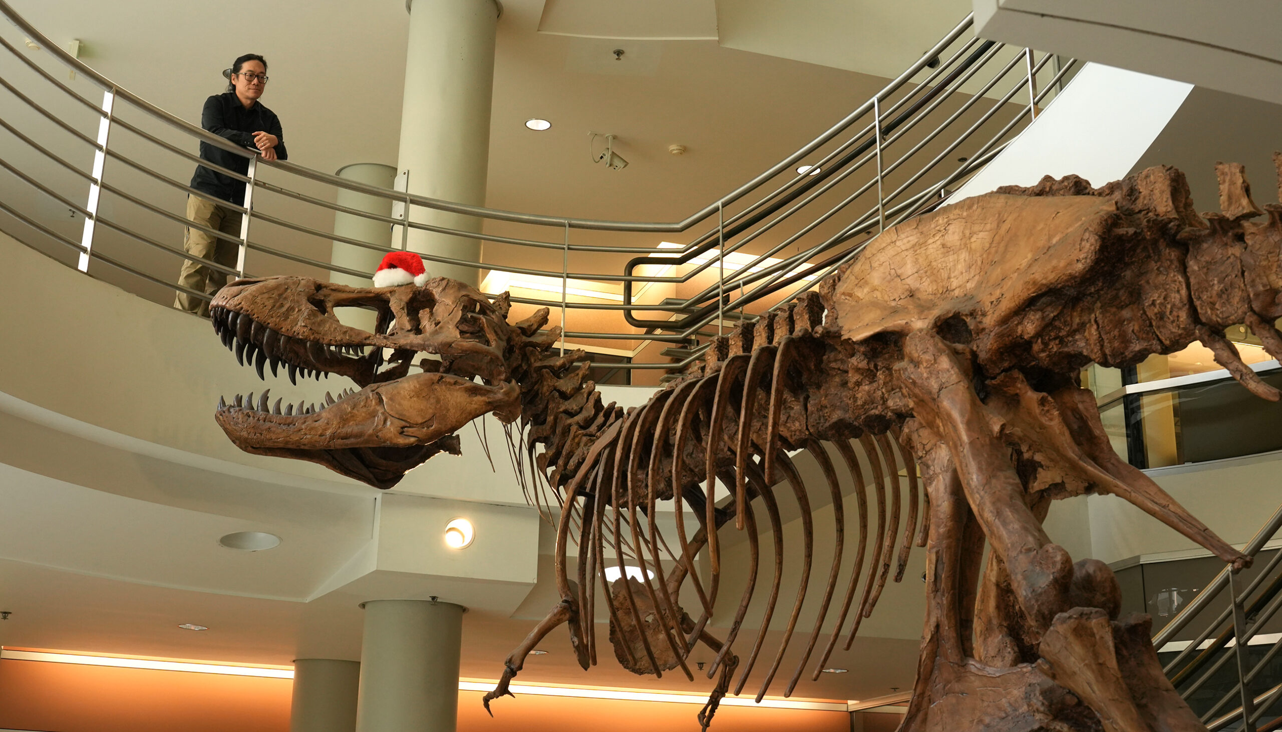 Jack Tseng stands on the second floor of the Valley Life Sciences Building looking down on a replica of a T. rex