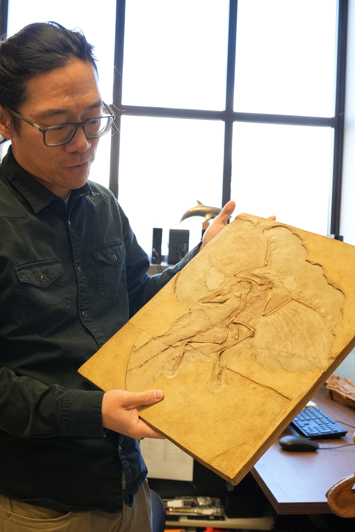 Jack Tseng holds up a fossil replica of a very early bird