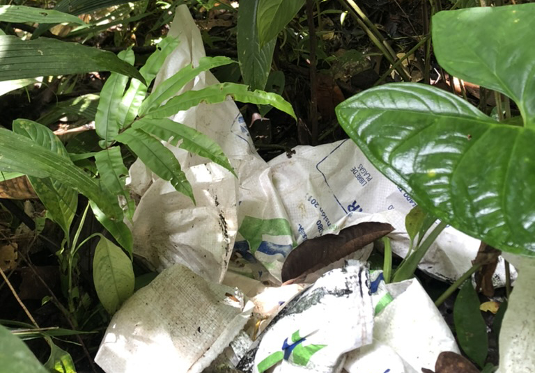 discarded white bags amid green leaves, with a tiny frog on one of the bags