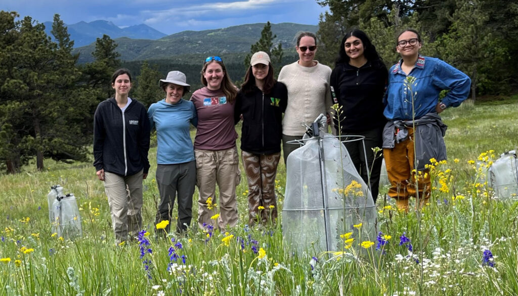 seven women standing arm in arm among flowers on a hillside meadow among pine trees