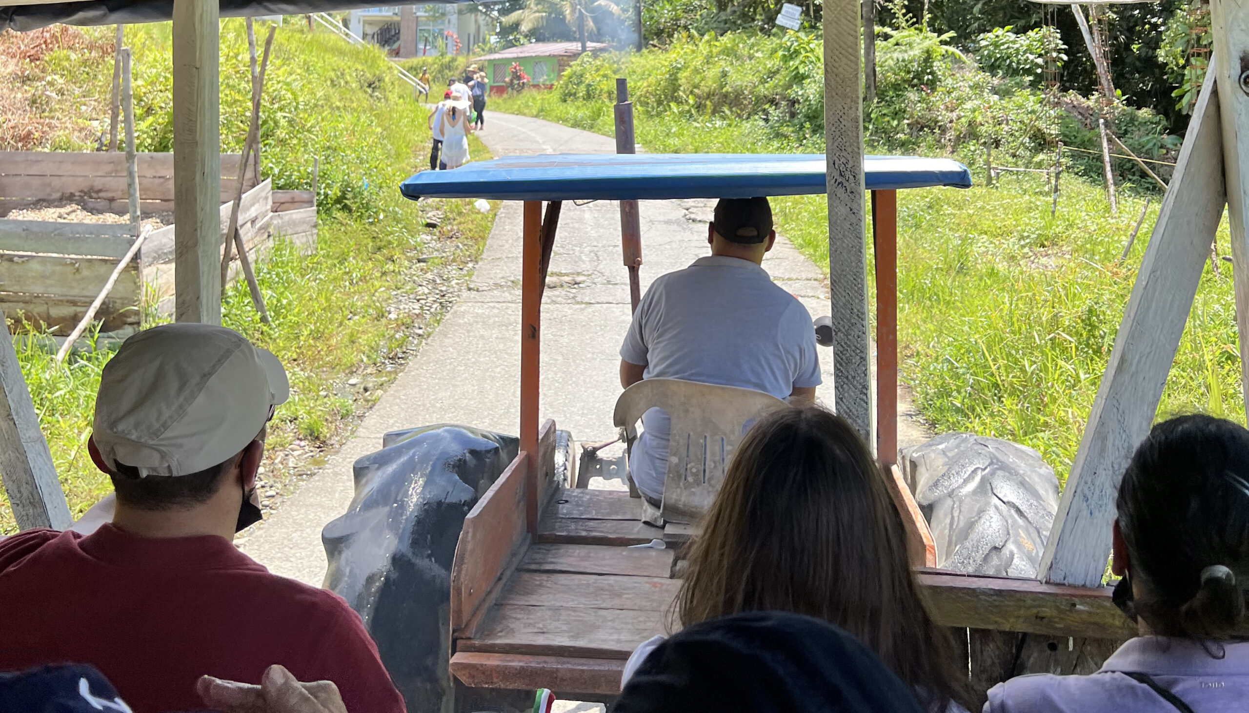 passengers aboard an open air carriage, seen from the rear