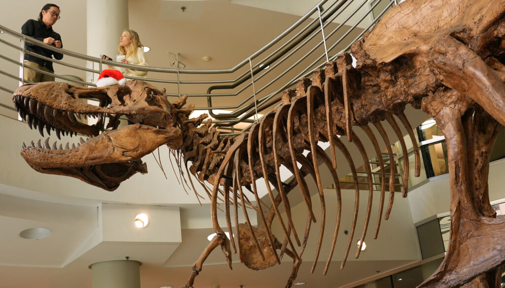 UC Berkeley News editor Anne Brice interviews Professor Jack Tseng on stairs overlooking a giant T. rex replica.