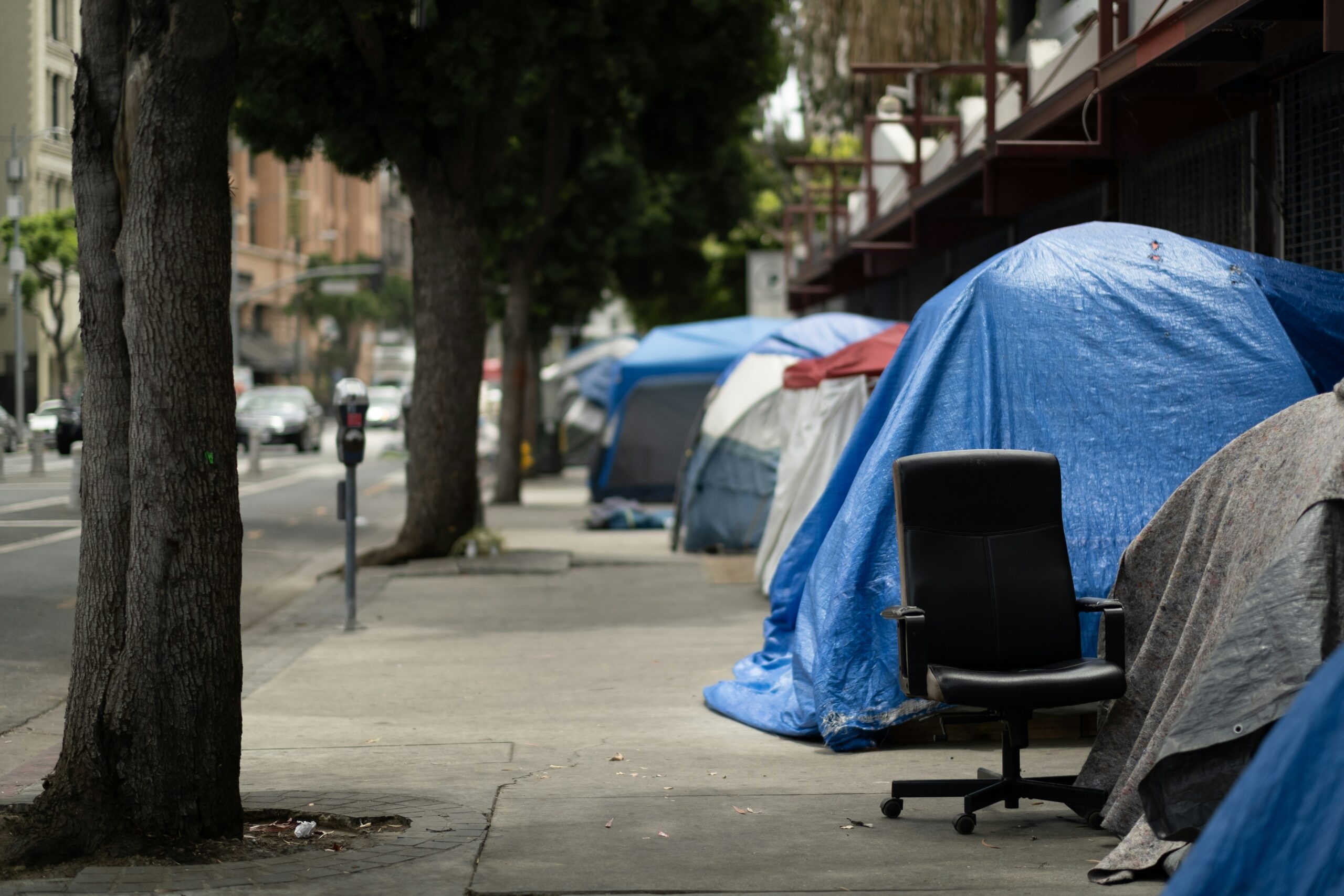 A sidewalk with tents covered in blue tarps as vehicles travel on the adjacent road next to trees