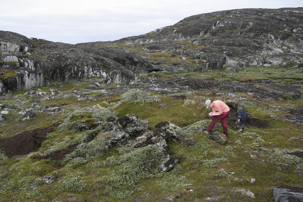 Assistant professor and archaeologist Asta Mønsted does fieldwork in Greenland, walking through a green landscape with large rocks and taking notes in a book.