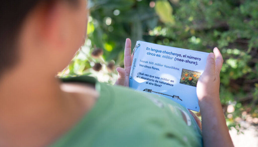 A child holds a stack of laminated cards. The cards have words in Chochenyo and Spanish alongside a photo of a plant with orange blossoms.