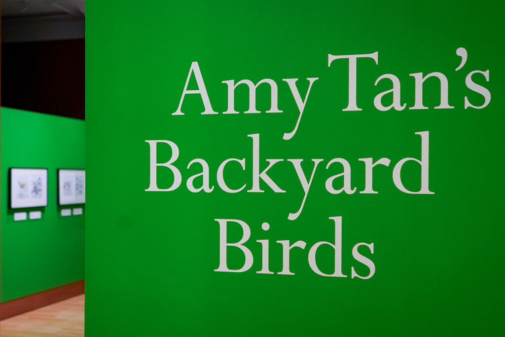 A wall painted green sat the Bancroft Gallery at The Bancroft Library says "Amy Tan's Backyard Birds." The exhibit shows Tan's notes and sketches for the book.