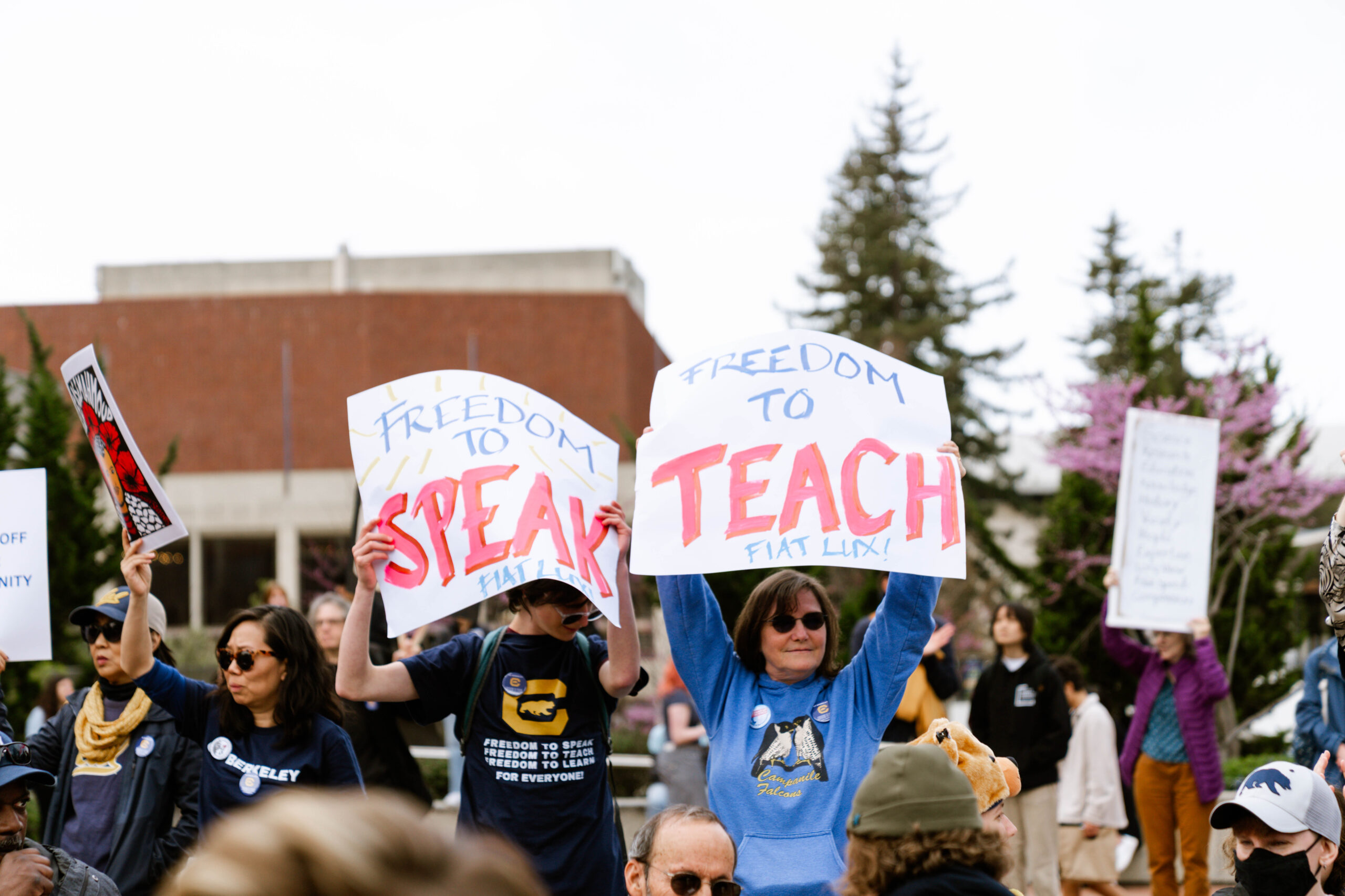 Protestors gather on Sproul Plaza for a rally against Trump administration attacks on higher education.