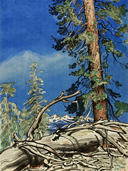 A color woodblock print of a large tree standing tall in Porcupine Flat, near Yosemite, with a felled tree on the ground next to it. The sky is a dark blue, and other trees are in the background.