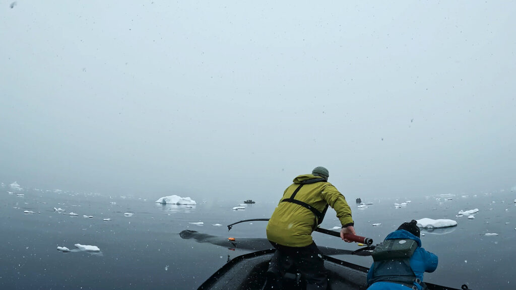 two people in life jackets and water- or rain-resistant jackets extend rods over the back of a whale, which is just breaking the surface of the water. Small ice floes are also on the water.