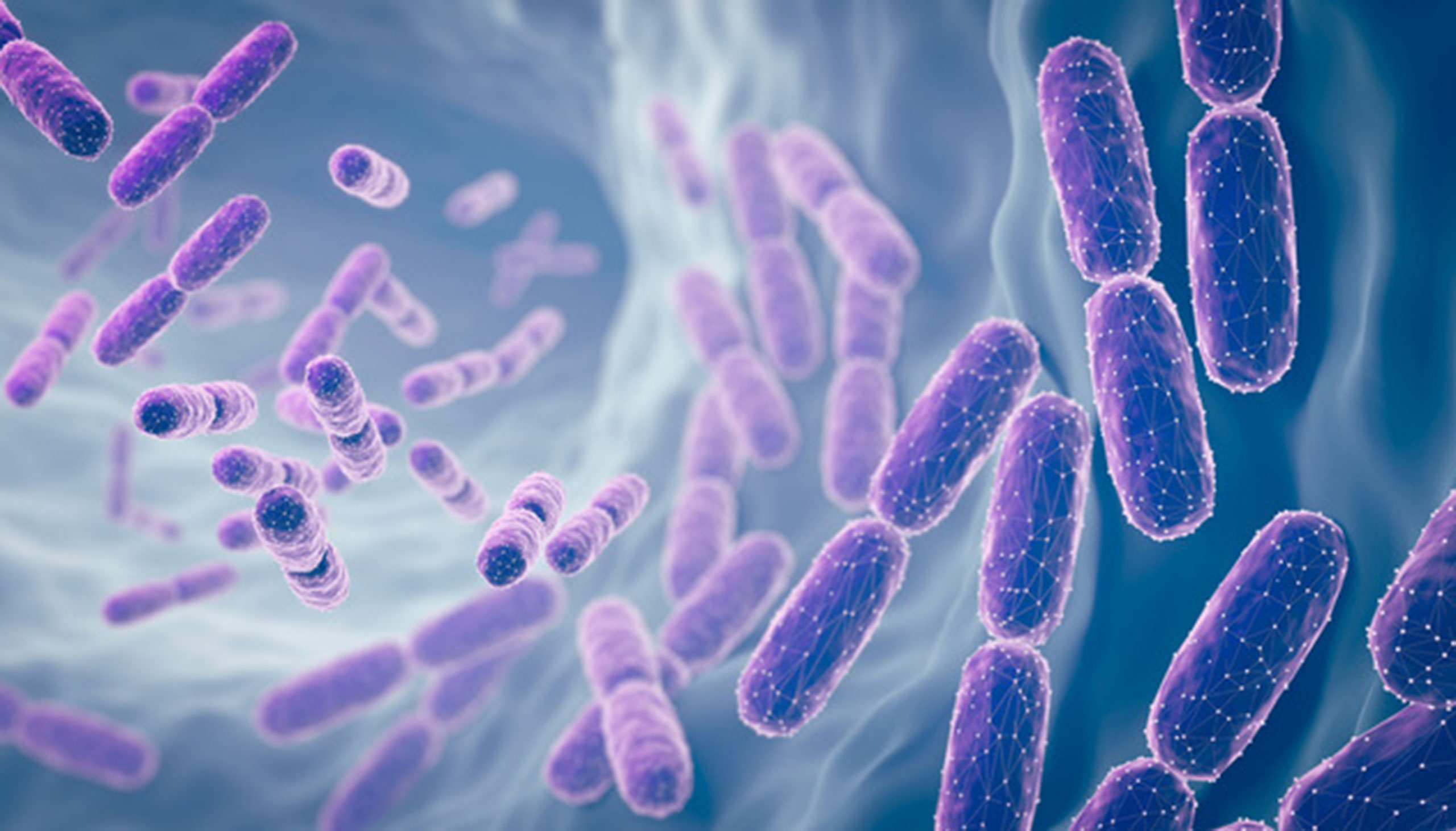 An illustration showing purple, rod-shaped bacteria against a swirling blue background.