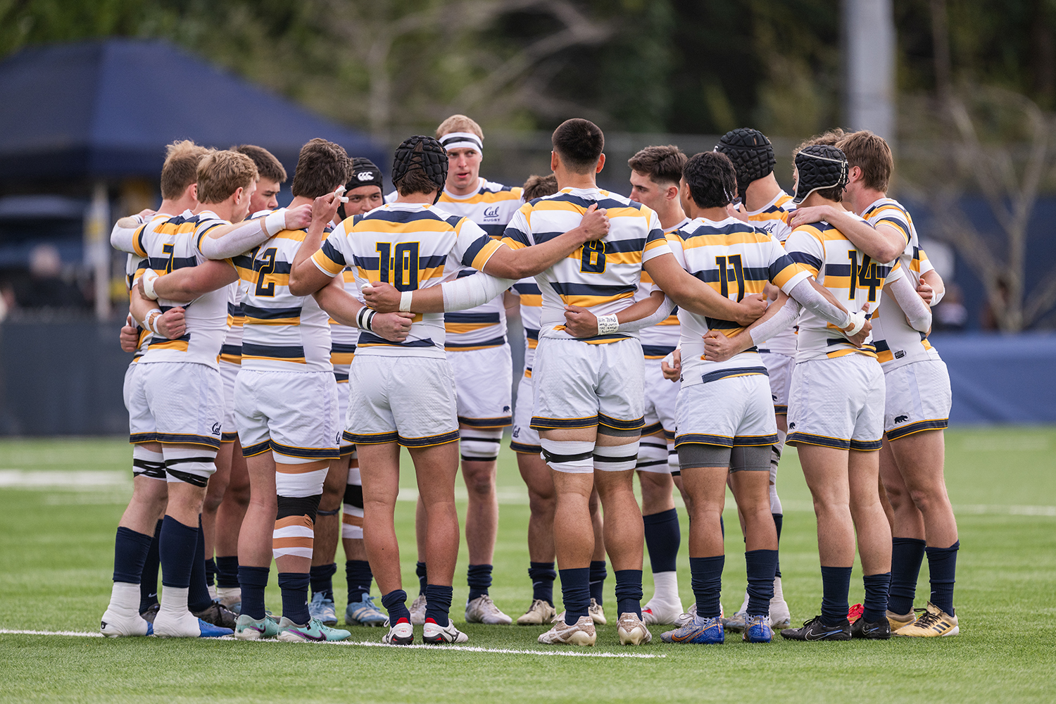 A group of Cal Rugby players stands in a circle on the field with their arms around each other.