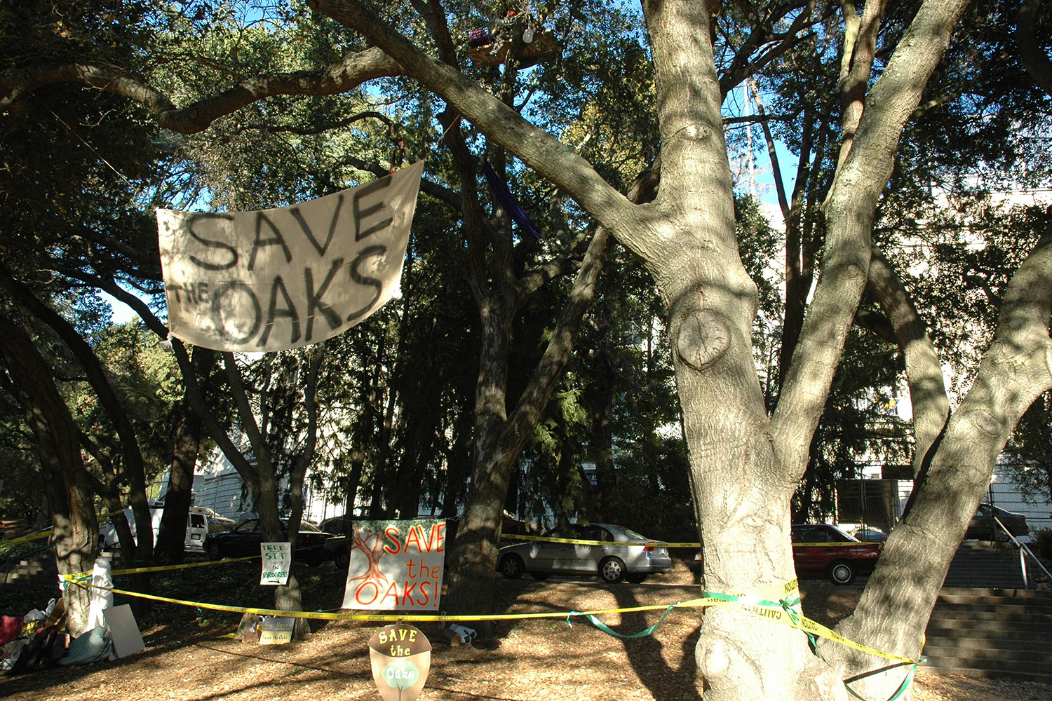 Signage from the 2006-2008 sit-in in a grove of oak trees near Memorial Stadium, where a student athlete high performance center was planned and would require the trees' removal, reads 
