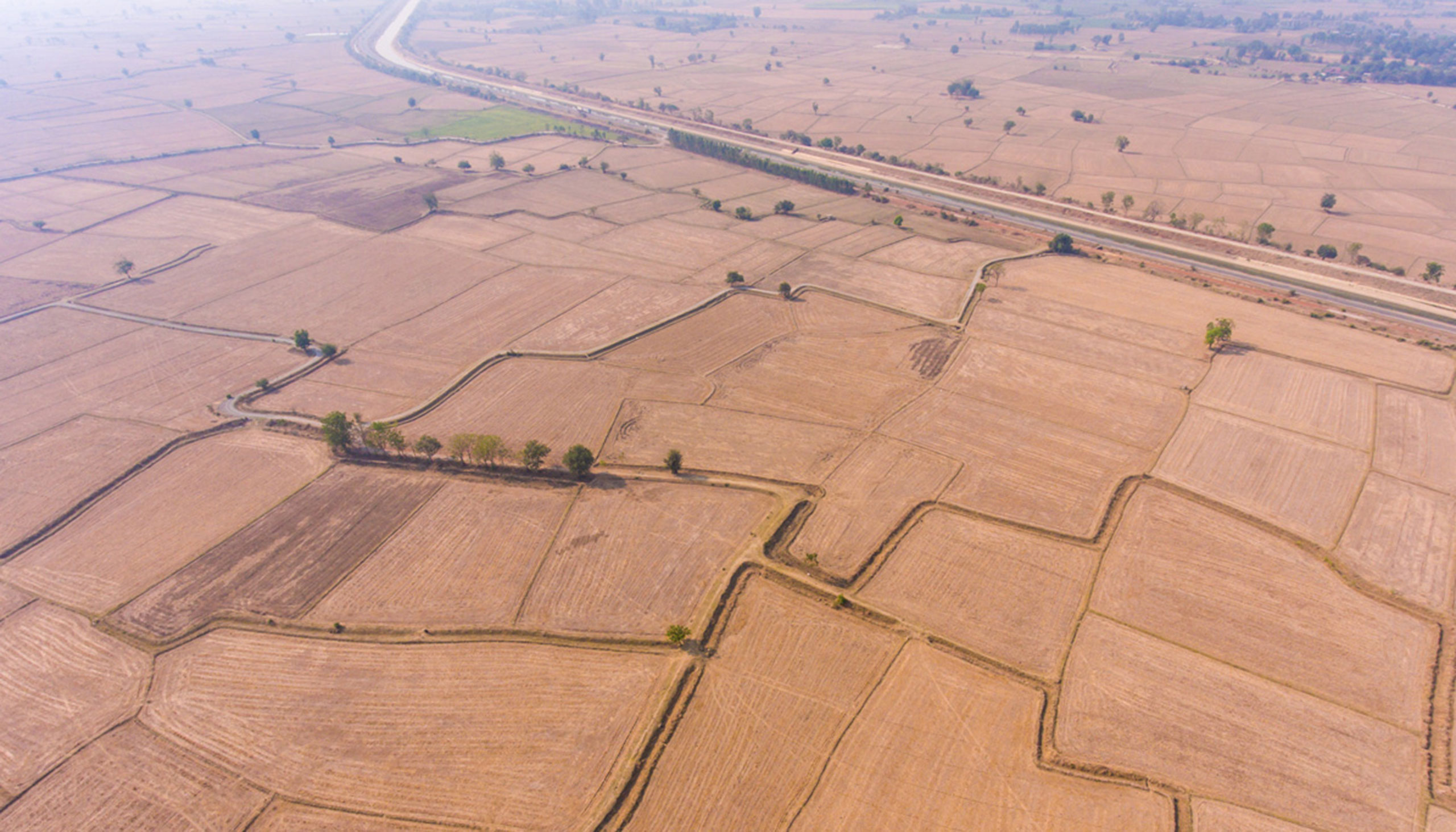 An aerial view of golden yellow wheat fields