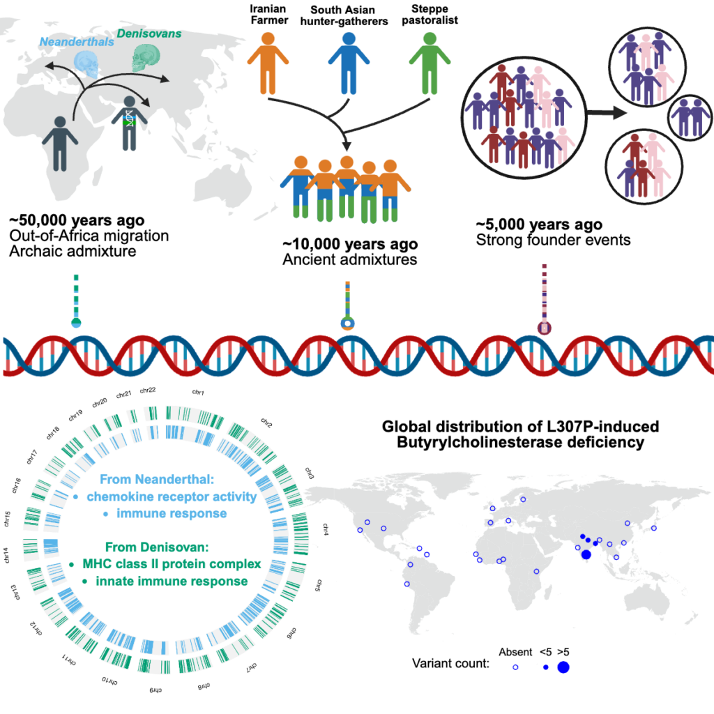 icons and arrows showing how humans moved from Africa through Eurasia to India