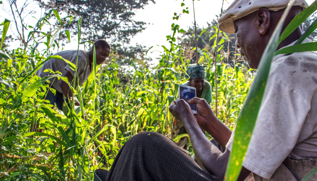 Togo and UC Berkeley: A data science alliance to build a dynamic West African nation