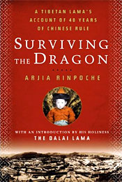 Bookcover for "Surviving the dragon"