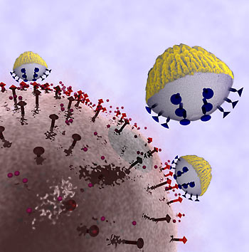 nanoprobes