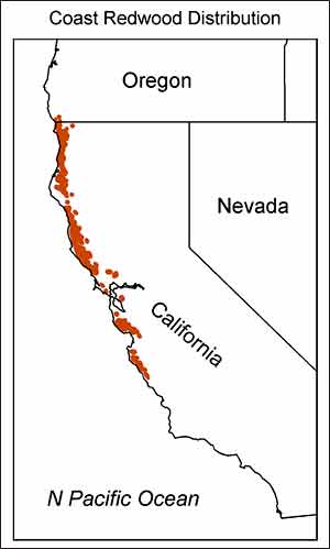 Map of Coast Redwood distribution in California.