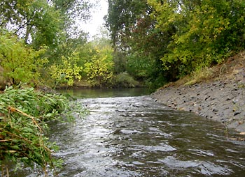 Flowing river