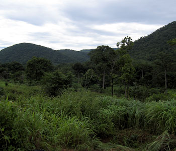 Kyabobo National Park in Ghana