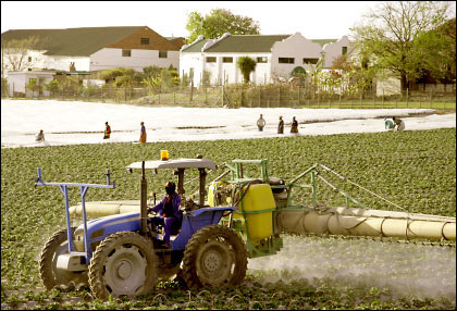 A tractor sprays pesticides on a food crop