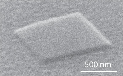 Electron microscope image of the plasmon laser