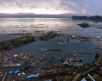 Debris along the shore