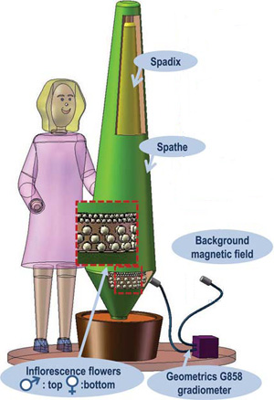 Diagram of instrumentation