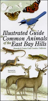 East Bay Hills field guide cover