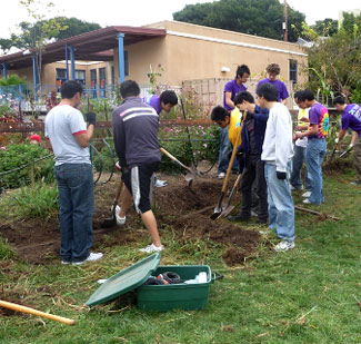 Berkeley Project Day