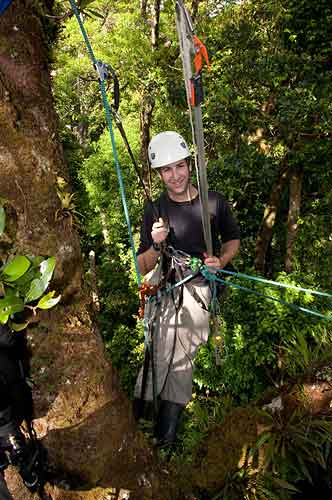 Greg Goldsmith in the cloud forest canopy.