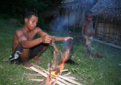 Cooking Aye-aye