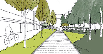 Sketch of the rain garden