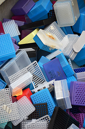 Plastic pipette racks in a bin