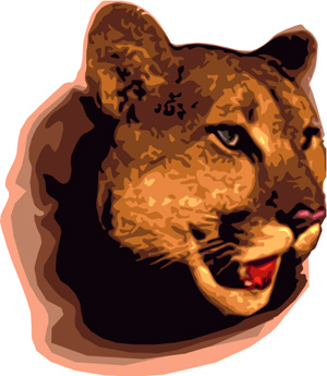 Mountain lion.