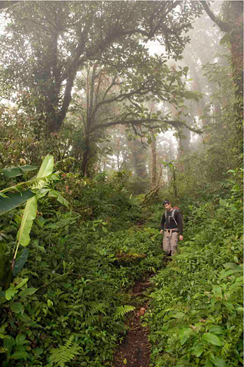 Greg Goldsmith in Monteverde National Park, Costa Rica.