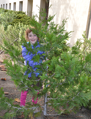 Cleo Linzer with incense cedar