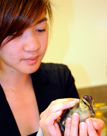 Sharlene Cam and duckling
